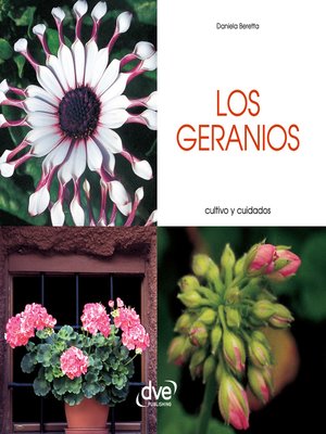 cover image of Los geranios--Cultivo y cuidados